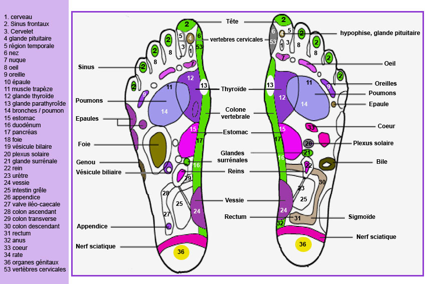 Pathologies
