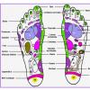 carte reflexologie plantaire