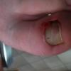 img-1380.jpg
