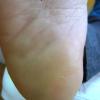 Pied 3